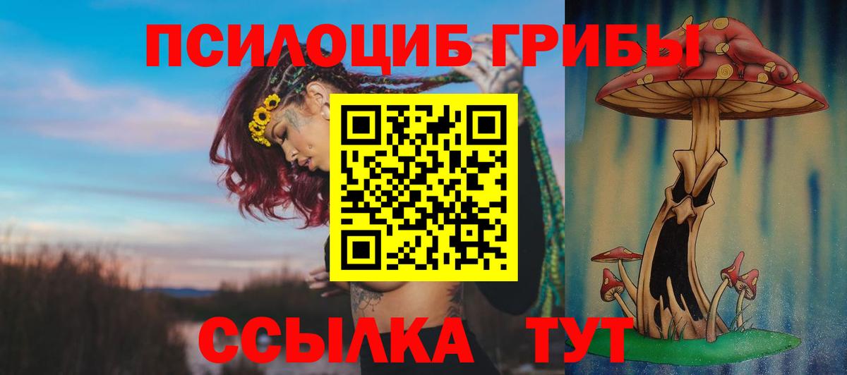 Фрязино  Псилоцибиновые грибы GOLDEN TEACHER  Вход с VPN 